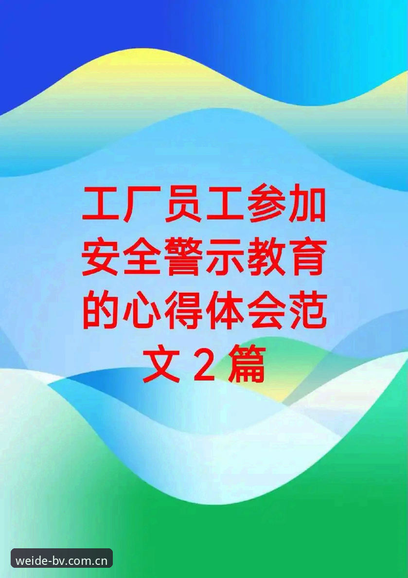 老用户亲测：伟德BV平台安全吗？六年使用心得与常见问题全解析